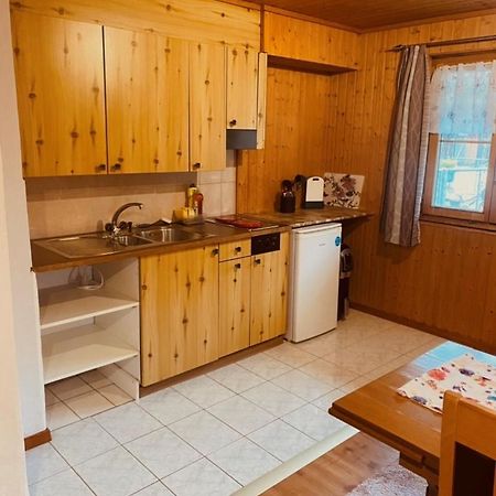 Guenstig Und Einfaches Studio Auf Dem Bauernhof Zuoz Bagian luar foto
